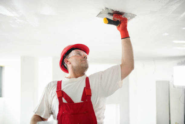 Best Trim and Molding Painting  in Greenville, MI